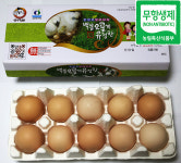 [구정설날선물추천]금산백봉오골계농원 오골계알 /백봉오골계알/ 오골계 무항생제 방사유정란 60개 : 농촌가치높이기