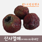 산사나무열매 300g 국내산 아가위나무 : 한다음자