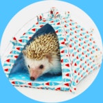 고슴도치 포치 면 텐트 ver2 고슴도치 은신처 : 도치퀸