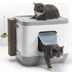 모더나 다기능 화장실놀이터 (multifunct concept) : 펫츠홀릭