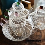 [CC GALLERY] 씨씨겔러리 호박유리주전자 0.7/1.2L  3color  (내열유리/ 직화/tea glass kettle) : 아우라지니