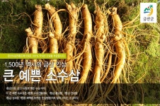 금산인삼 5년근 6년근 소수삼(12~14뿌리) 홍삼용 금산 수삼 : 금산수삼전통도매시장