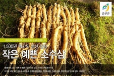 금산인삼 5년근 6년근 소삼계 수삼(50~65뿌리) 삼계탕 식당인삼 : 금산수삼전통도매시장
