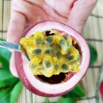 국산 백향과 패션후르츠 생과 1kg / 국산 백향과 냉동 1kg : 꿈에그린농장