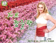 그린라이프 허리복부찜질팩  허브충전재 찜질팩   생리통완화팩 : 애드코리아