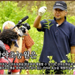 산뽕 발효원액 유기가공 500mlx3병 : 오픈쇼핑닷컴
