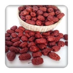 보은황토 햇 건대추6호24mm/1kg (하우스재배) : 보은대추고을농장