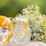 가든 파티(Yankee Type) : CandleNJ