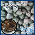 마파람수산 남해안 벌교 제철 참꼬막1kg : 마파람몰