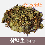 삼백초 600g 국내산 : 한다음자