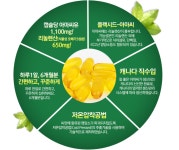 황금아마씨유 식물성오메가3 중년여성영양제 임산부영양제 : 애드코리아