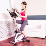 [원동]라이프기어 B508 싸이클/실내자전거/입식싸이클 : 헬스프라자