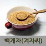 다온약초 백개자/겨자씨 1kg : 다온약초