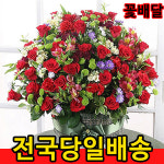 ◐전국당일꽃배달서비스◐꽃바구니◐근조화환 축하화환◐관엽 신도림동/구로동/구로본동/가리봉동/고척동/개봉동/개봉본동/오류동/온수동/궁둥... 