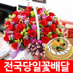 전국당일꽃배달 꽃바구니 군산 익산 김제 정읍 남원 제천 속초 동해... 구미 안동 경주 포항 영천 김천 여수 목포 나주 순천 광양 꽃배달 : 앤드플라워