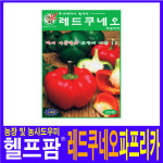헬프팜 레드쿠네오 100립 피망 제일종묘 파프리카씨 : 헬프팜-help.farm