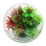 GM 모듬조화 (YS-70410) - 수족관 용품/장식품/은신처 : 트루 바이오톱