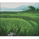 청보리의 푸른물결(KS-115) (십자수 도안만의 상품) : 자수짱
