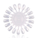 도나와 컬러휠 네일아트 재료 Color Wheel Clear DSCW-C : 도나와네일