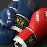 위니 타이거 벨크로 복싱글러브 권투글러브 : MOASPORTS