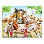 Pintoo - H2038 - Howard Robinson - Farm selfie - 500 Piece Plastic Puzzle PROD20031271 : buying007