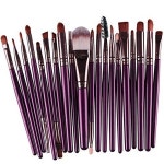 Funfunman Makeup Brush Set 20pcs Professional Face Eye Shadow Eyeliner Foundation Blush Lip Makeup B : buying007
