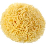 Pangda 5 Inch Unbleached Honeycomb Yellow Sea Sponge Soft Sea Wool Sponge for Bath Shower and... PRO : buying007