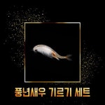 풍년새우 기르기 세트 (중) : 매직아쿠아 마켓