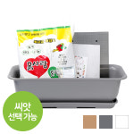화분월드 뷰티 텃밭 8종 세트 베란다 상추키우기 풀세트 씨앗 선택가능 : 화분 월드