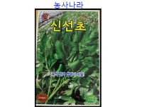 신선초 100립 : 농사나라몰
