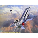 [PT6] 1/48 F-4J 펜텀II 쇼타임 100 (F-4J PHANTOM II SHOW TIME 100) : 아이하비