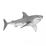 슐라이히 백상어 Great white shark : 아이하비