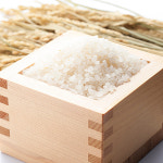 2025년 햅쌀 농부의아침 백미10kg 밥맛좋은 경기미 고시히카리 수향미 새청무쌀 : 아침농산잡곡