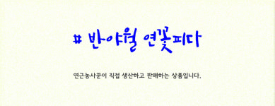 대구 반야월 연근 10Kg #반야월연근#연근농사꾼 #연근판매 #반야월연꽃피다 : 연근농사꾼