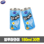 해태 블루하와이 180mlx30캔 : 현대인터네셔널