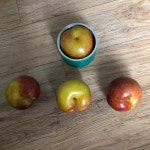 추희자두 특대사이즈 여름제철과일 자두5KG 추이 후무사 자두의효능 왕자두 : 궁촌농장