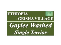 게이샤빌리지 게이리 워시드 - Single Terrior : 어라운드 트레이딩