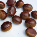 공주 정안 옥광 햇 밤 고소함 생밤 산지직송 4Kg : 리빙꾸미