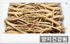 도라지배즙 120ml 60포 : 양지건강원