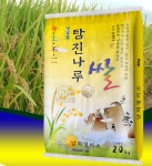 전남장흥 남외정미소 2025년 햅쌀 찹쌀 현미 오분도미 20kg : 참이맛이야