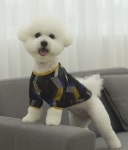 퍼피온 2컬러 사이즈S-XL 카인드 니트 : 마이앨리스독