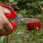 화신 원예가위 P-330 : 공구월드