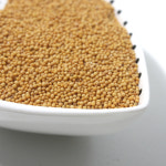 인차 겨자씨 500g : 인차