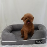 펫웰 메모리폼 강아지 고양이 개편한 침대 윙 : 나라펫