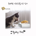 고양이 밥그릇 식기 높이 각도조절식기 2구식기 : 엠에스팩