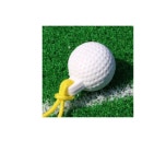 스윙플레이트 골프 퍼팅기 디지털 퍼팅 연습기 스윙기 초보 : bo-mall