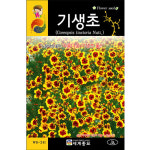 기생초 씨앗 꽃씨 종자 꽃씨앗 야생화 야생초 씨 2g : 가람원