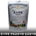 [백박사 효소유황] 식물곰팡이약 흰가루 잿빛곰팡이 잎곰팡이 고추탄저 : 유니텍바이오산업
