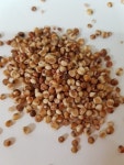 24년산 /국산찰수수/팥단지수수/수수(5kg)무료배송 : 경기쌀농산