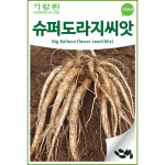 슈퍼 도라지 씨앗 약도라지 종자 채소씨앗 으뜸 2000알 : 가람원